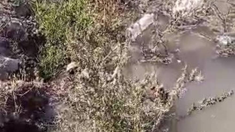 Житель Ысык-Атинского района сообщает об утечке воды. Видео