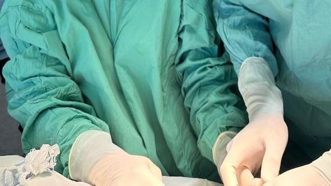 Иллюстративное фото