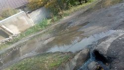 Возле школы №46 питьевая вода течет в арык. Фото