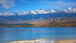 Горы, Иссык-Куль и лошадки. Фото с дрона