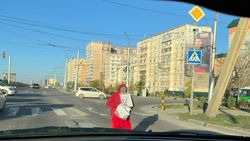 Водитель просит убрать попрошаек с дорог. Фото