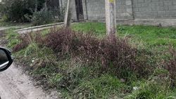 Житель Кара-Жыгача жалуется на ежедневные отключения электричества. Фото