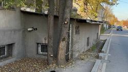 Пристройка на Буденного занимает половину тротуара. Фото