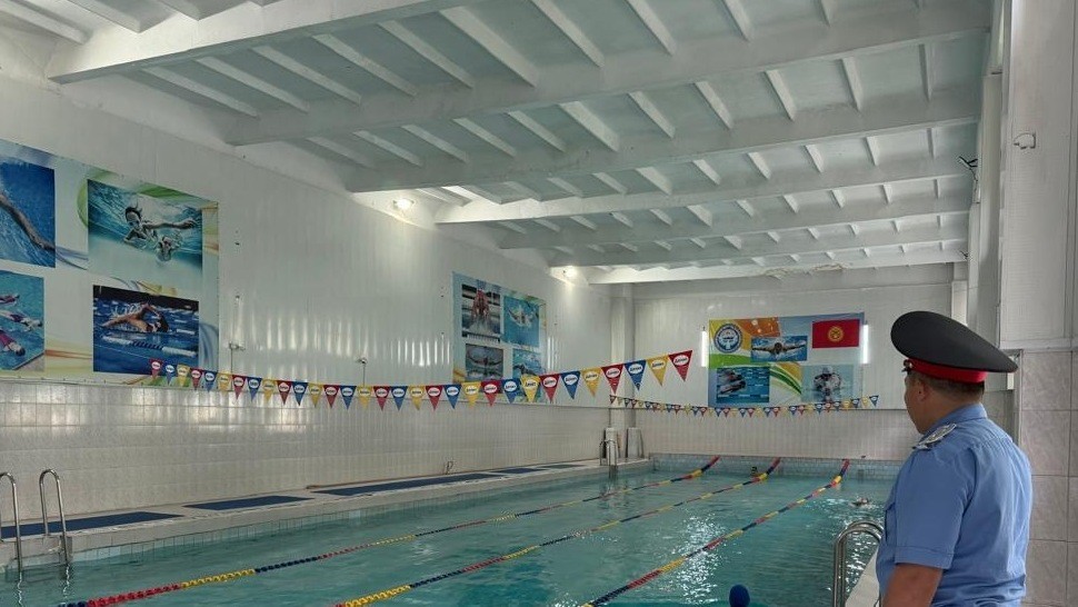 Иллюстрациялык сүрөт