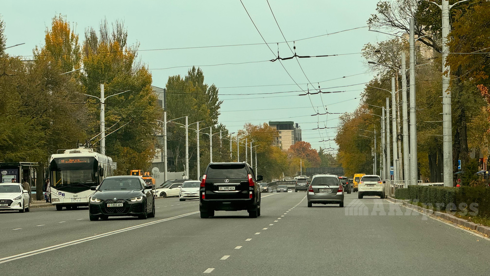 Иллюстрациялык сүрөт