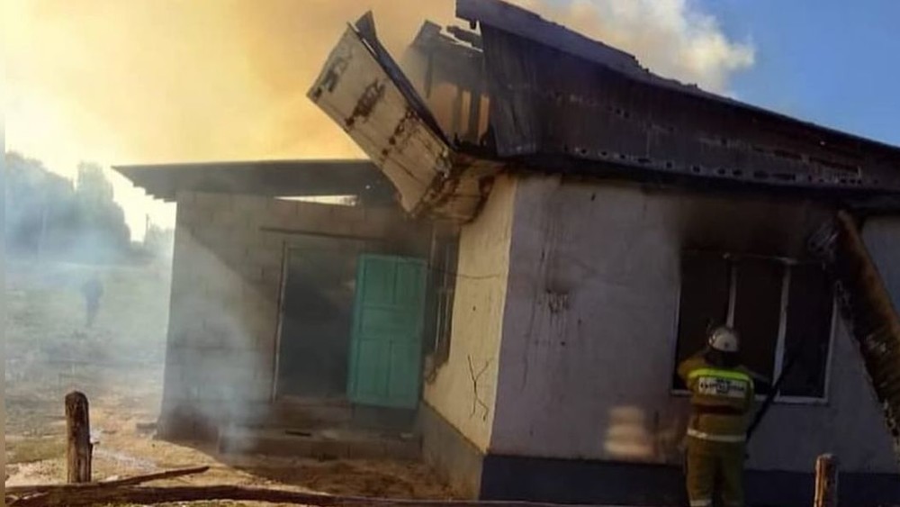 Иллюстрациялык сүрөт