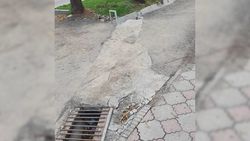 «Бишкекзеленстрой» отремонтирует тротуар на Джунусалиева до конца этой недели