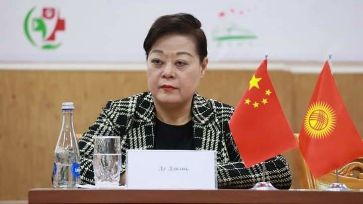 Посол Китая в Кыргызстане Ду Дэвэнь