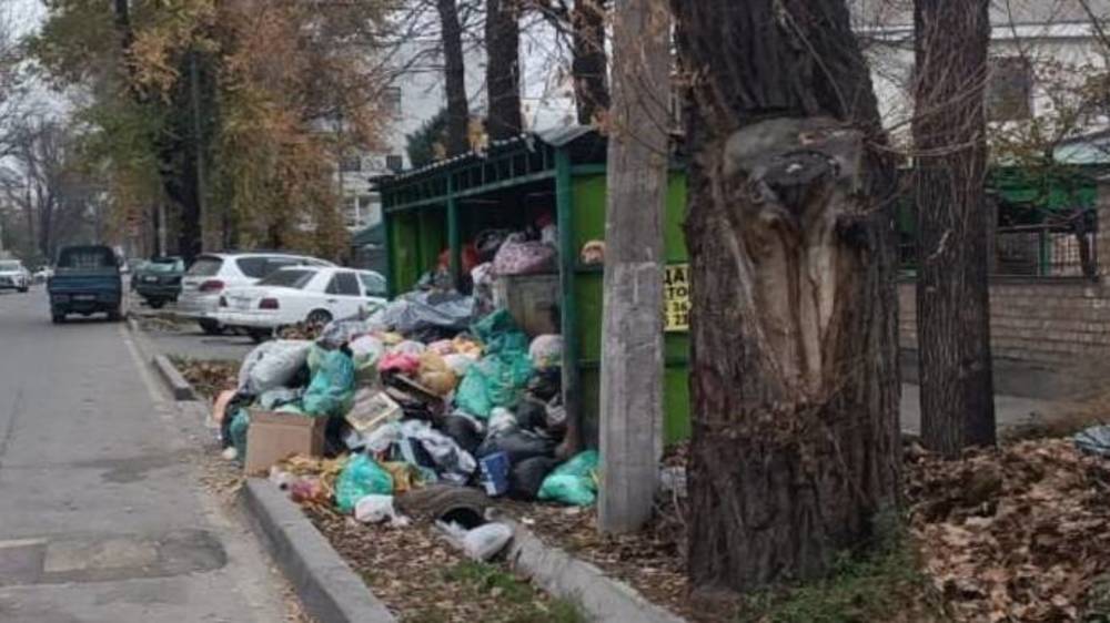 Свалка мусора на Куренкеева. Фото