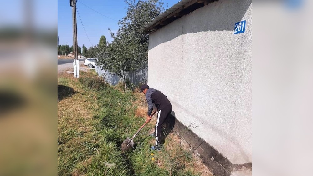 Иллюстративное фото