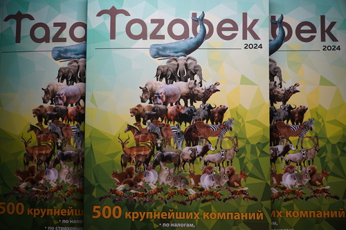 Топ-500 Налогоплательщиков