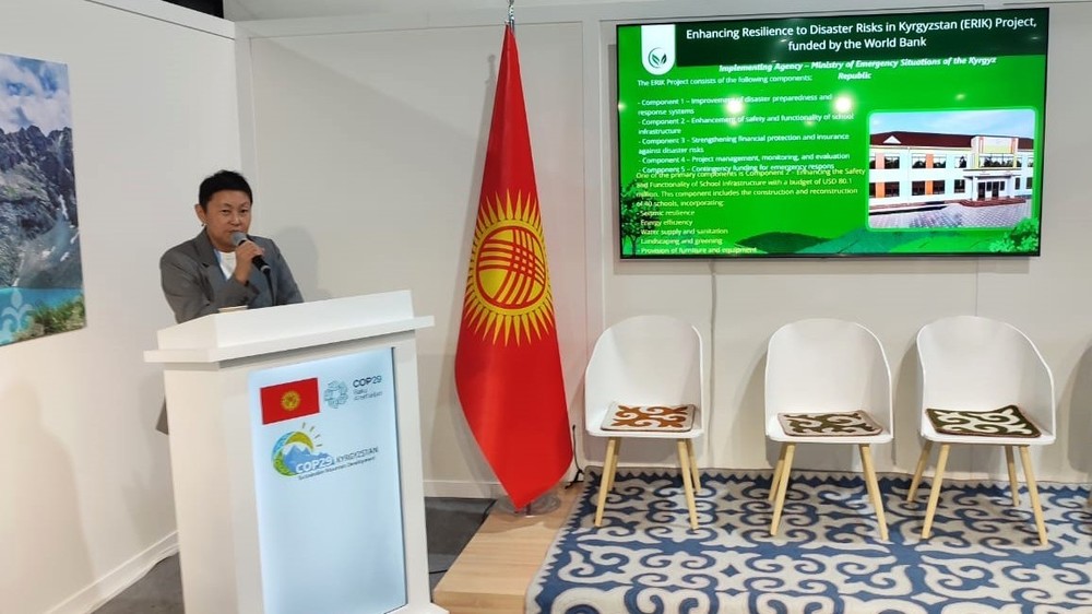 замминистра финансов Жибек Дуйшеева