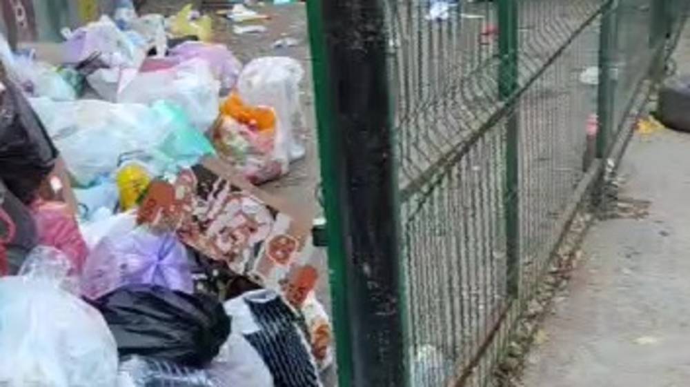 «Тазалык» вывез мусор у дома на Панфилова после жалобы горожанки. Фото