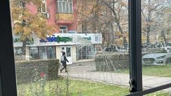 Горожанка просит бережнее относится к остановкам. Ответ мэрии