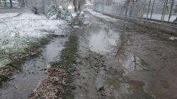 В мэрии рассказали, когда отремонтируют тротуар на Льва Толстого