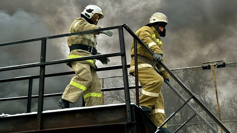 Иллюстрацияык сүрөт