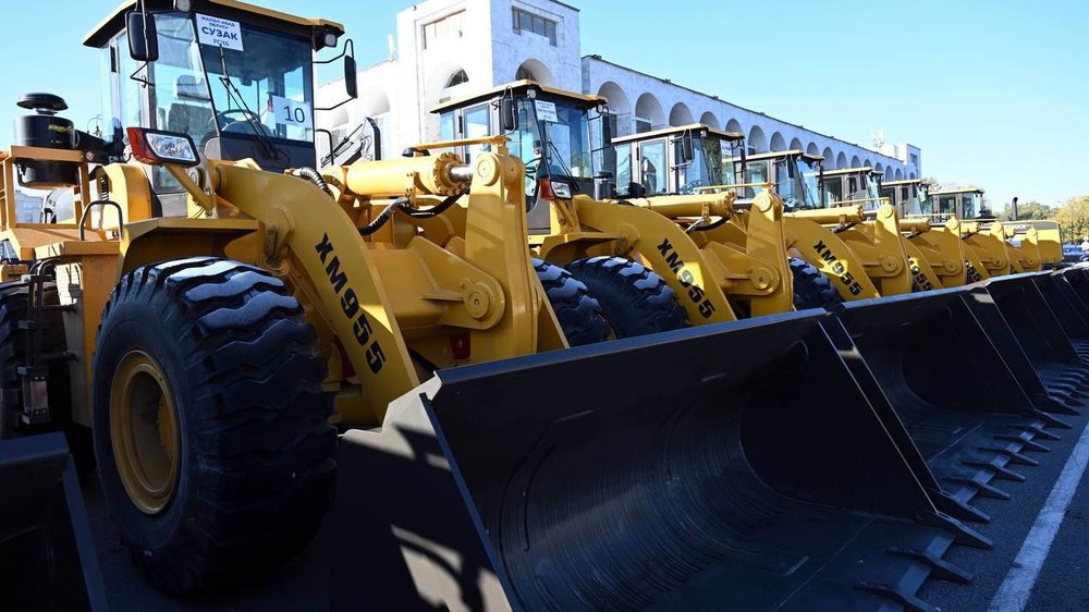 Иллюстрациялык сүрөт