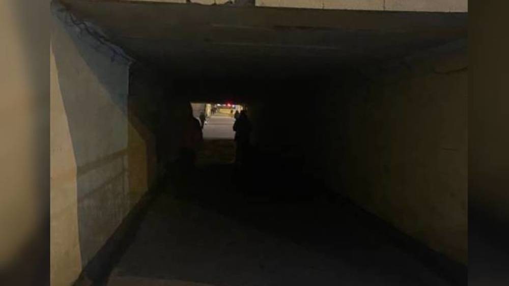 Горожанка просит провести освещение под мостом на Советской