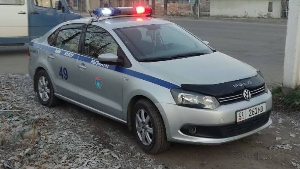 Машина Службы охраны стоит в зеленой зоне. Фото