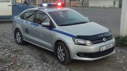 Экипаж Группы задержания Службы охраны МВД нес службу, припарковавшись в зеленой зоне. Ответ ведомства