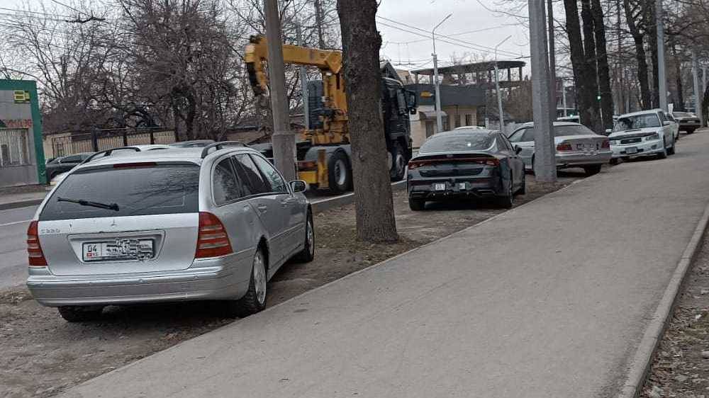 На Жибек Жолу водители паркуются в зеленой зоне. Фото