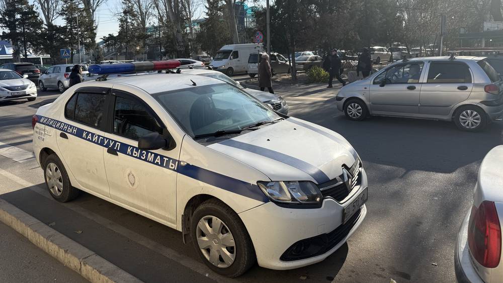 Патрульная служба оштрафовала водителя патрульной машины, припаркованной в неположенном месте