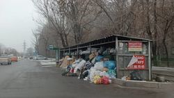 «Тазалык» убрал мусор на Кольбаева после жалобы горожанина. Фото мэрии