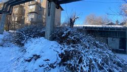 «Кыргыз Темир Жолу» оштрафовали на 13 тыс. сомов за выброс веток. Фото