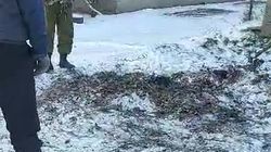 «Кыргыз Темир Жолу» убрали ветки на Пишпеке. Видео мэрии
