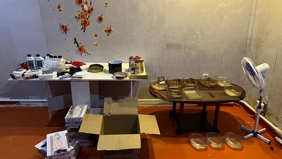 Иллюстрациялык сүрөт