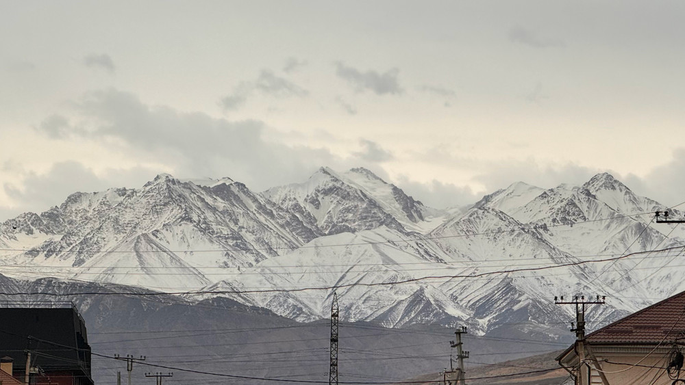 Иллюстративное фото