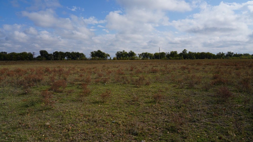 Иллюстрациялык сүрөт