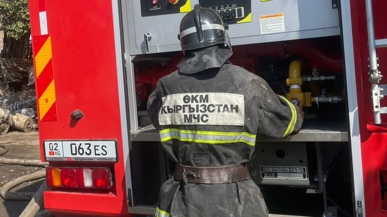 Иллюстрациялык сүрөт