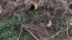 В селе Кожомкул во дворе дома три года назад прорвало трубу — вода до сих пор течет. Видео жителя