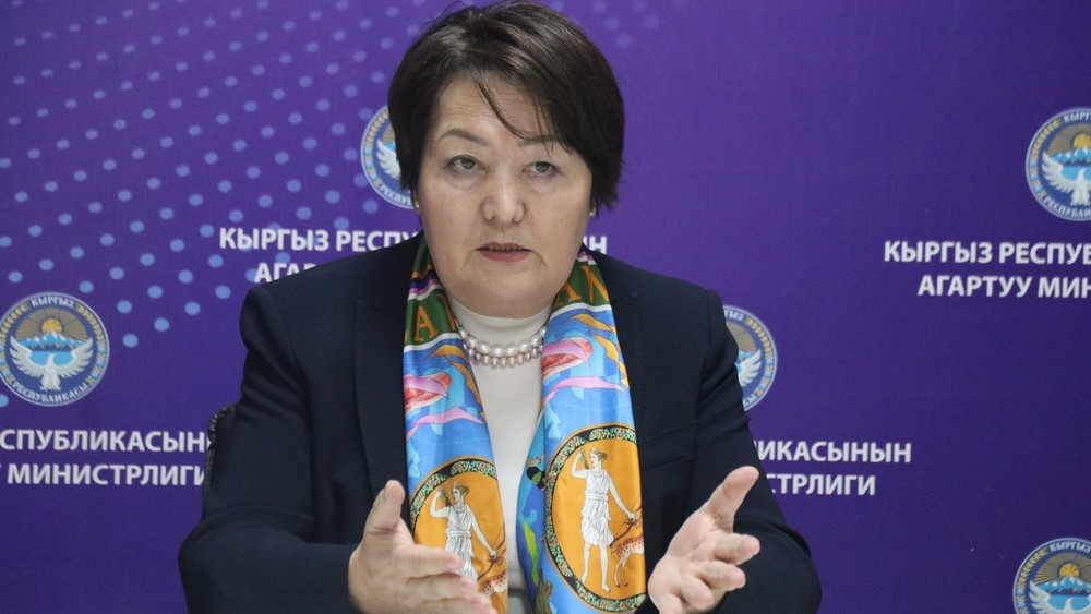 Догдуркуль Кендирбаева