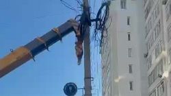 «Бишкексвет» отремонтировал аварийный столб в 7 мкр. Видео