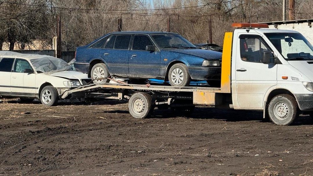 Иллюстрациялык сүрөт