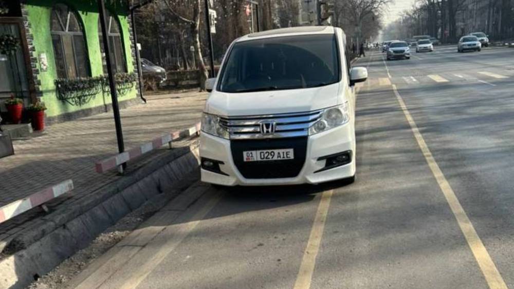 Велодорожка на Токтогула снова стала стоянкой. Фото горожанина