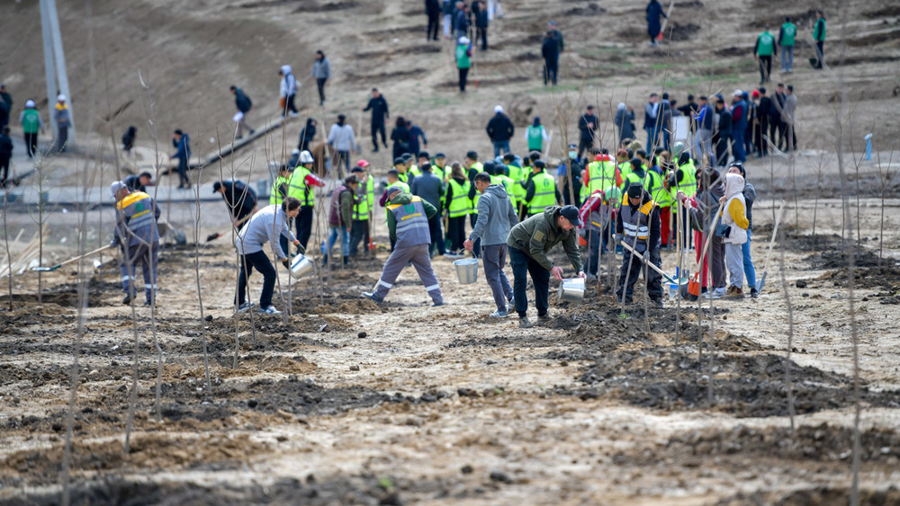 Иллюстративное фото