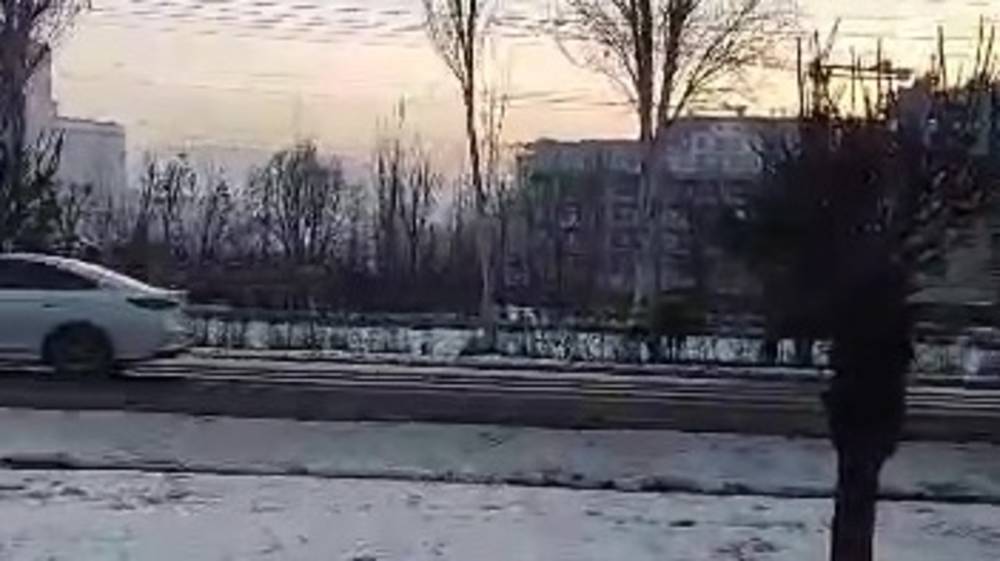 На Южной магистрали снова пасутся лошади. Видео