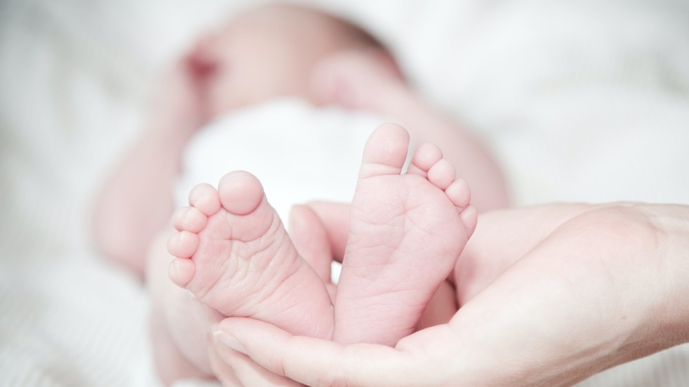 Иллюстрациялык сүрөт