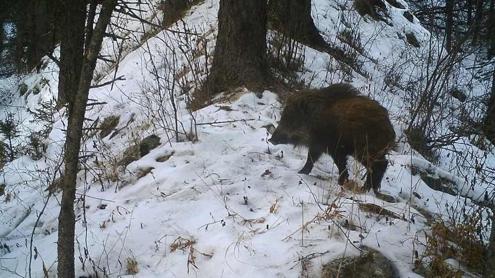Иллюстративное фото