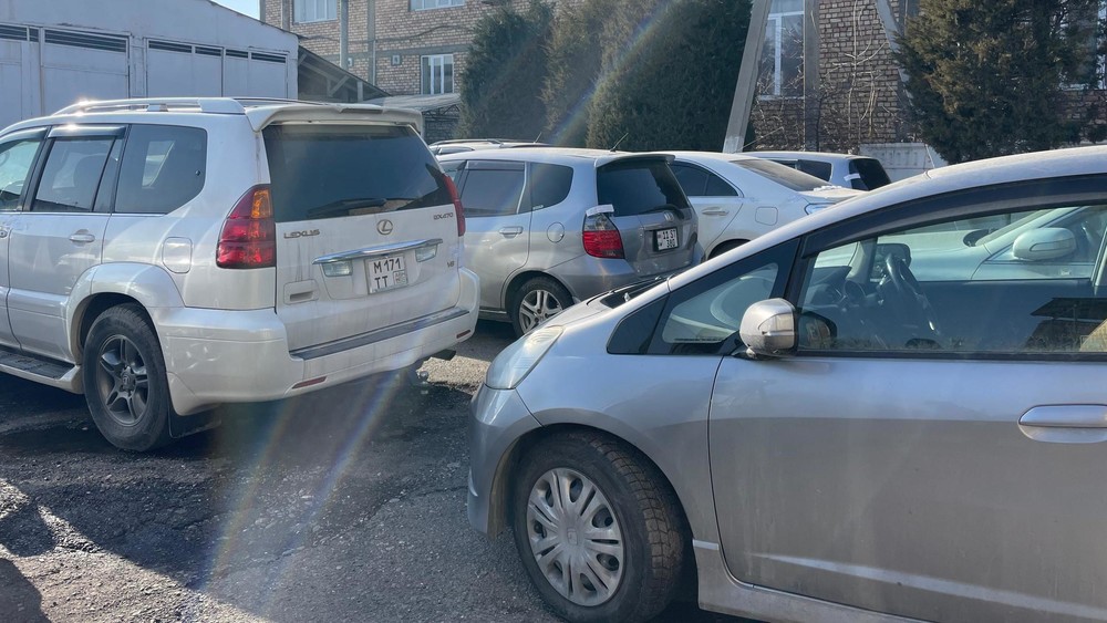 Иллюстрациялык сүрөт