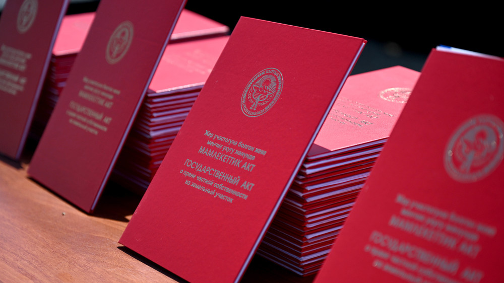 Иллюстративное фото