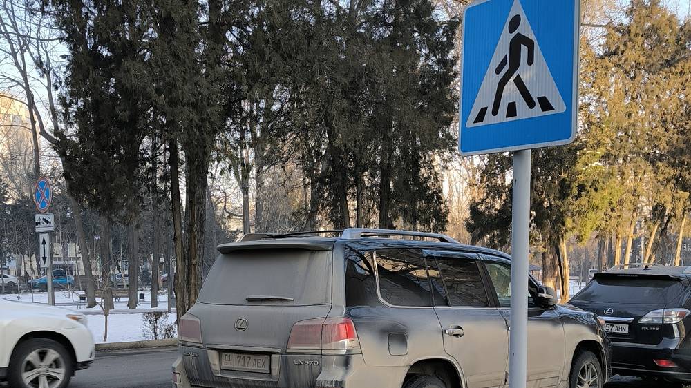 Lexus LX 570 припарковали на «зебре». Фото