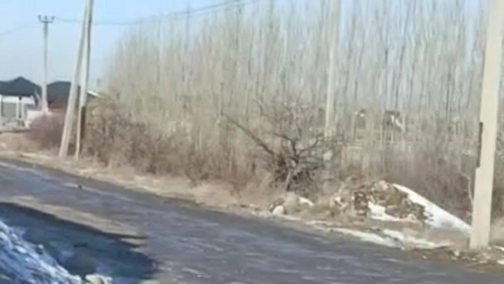 Продолжается подготовка к строительству дороги от Алматинки до Ауэзова. Видео горожанина