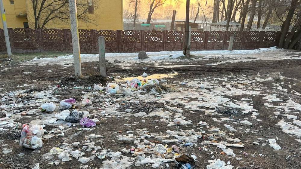 Стихийная свалка возле детсада в Беловодском. Фото