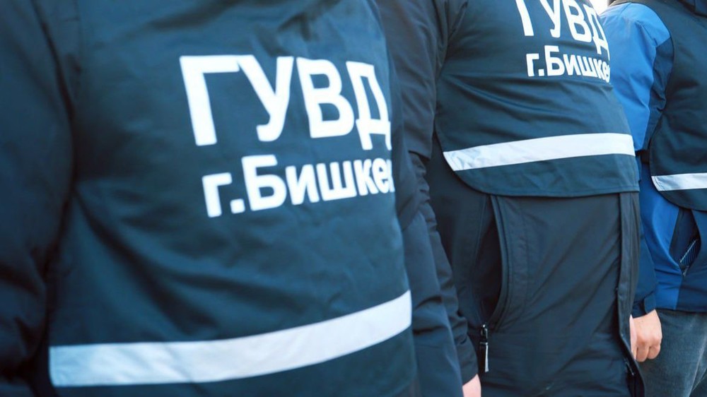Иллюстрациялык сүрөт