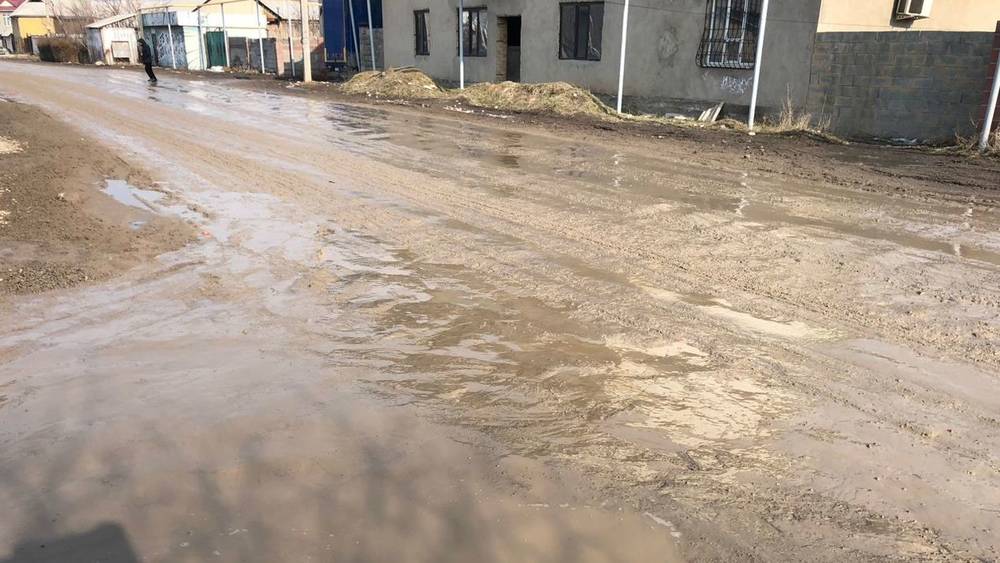 «Дорога или болото?» Житель Новопавловки жалуется на состояние дороги. Фото