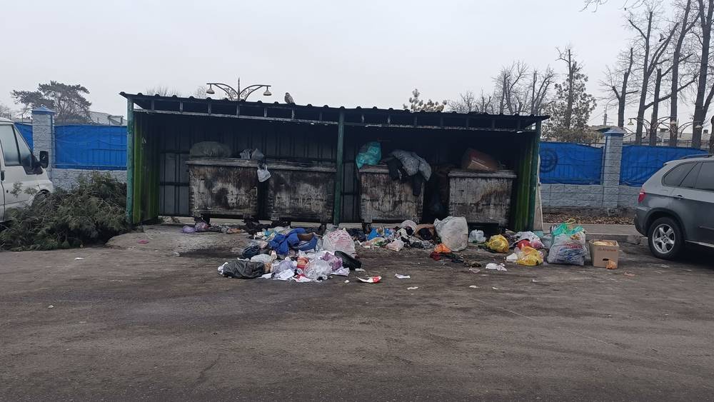 На Мичурина мусор выбрасывают мимо баков. Фото